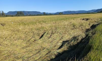 Agro enfrenta crise silenciosa de saúde mental