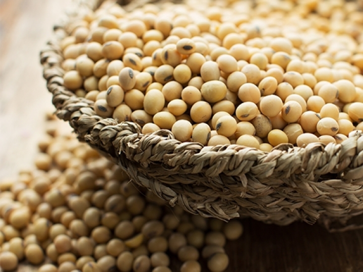 EUA anunciam tarifa de 25% sobre produtos brasileiros; entre eles etanol, máquinas agrícolas e açúcar
