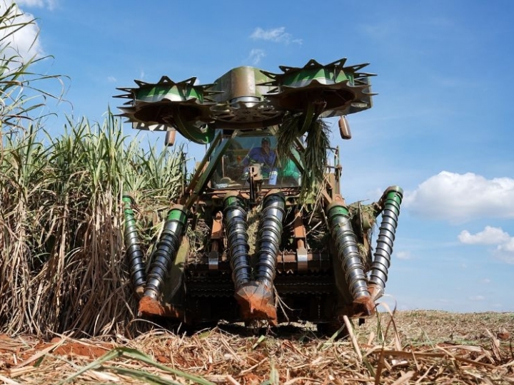 Tereos amplia frota de colhedoras de duas linhas e avança em eficiência energética no campo