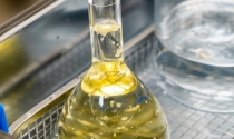 AliançaBiodiesel: ANP avança na regulação do uso voluntário do biocombustível