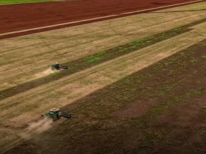 Angola pressiona Brasil por investimentos após abrir terras para projetos agrícolas