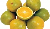 Queda na demanda por suco de laranja agrava crise do setor, diz CitrusBR