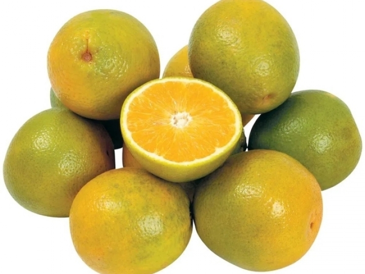 Queda na demanda por suco de laranja agrava crise do setor, diz CitrusBR