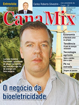 Edição 5 - Julho 2008