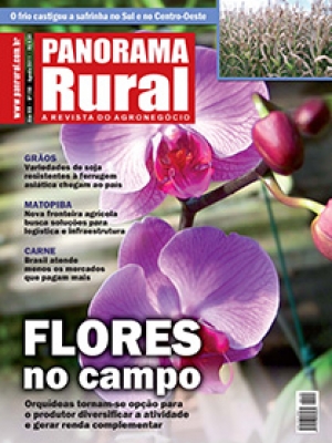 Edição 150 - Agosto 2011