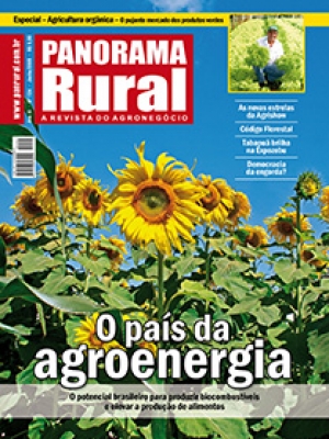 Edição 124 - Junho 2009